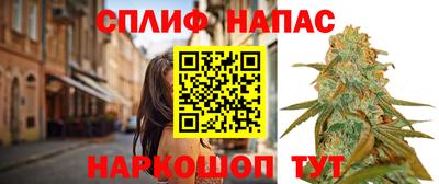 шишки Кинель